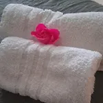 Chania Sweet Apts